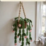 Hanging Christmas Cactus